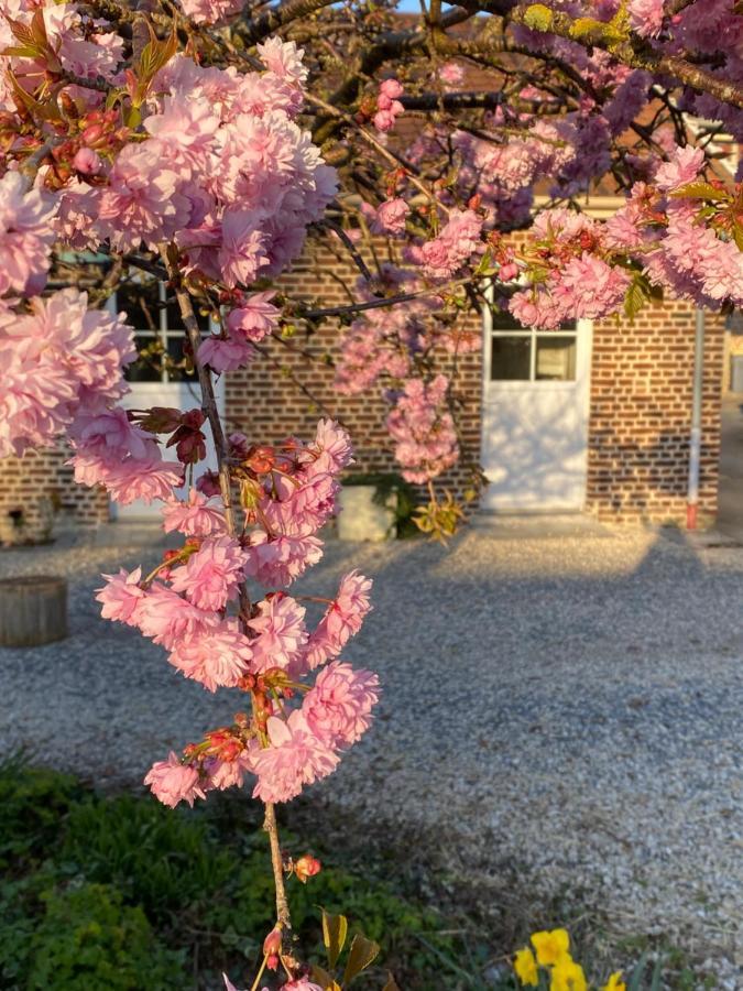 Le Domaine Des Saules Villa Richebourg  Ngoại thất bức ảnh